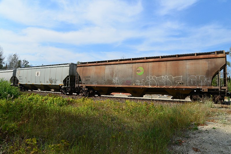 DSC_7752.JPG