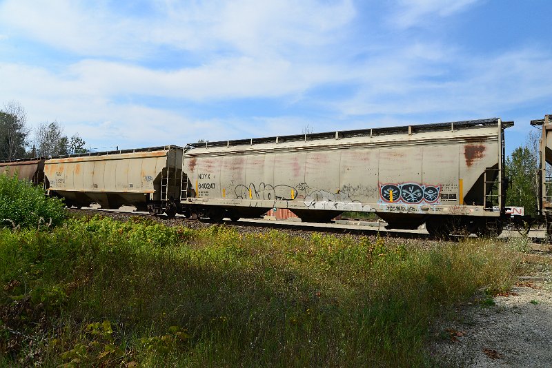 DSC_7754.JPG