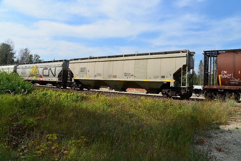 DSC_7763.JPG