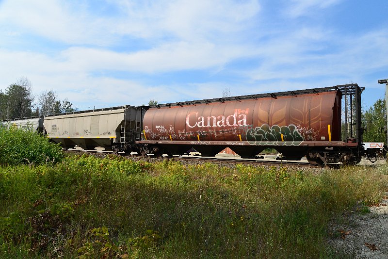 DSC_7764.JPG