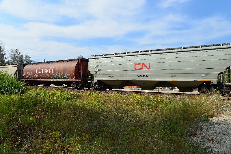 DSC_7765.JPG
