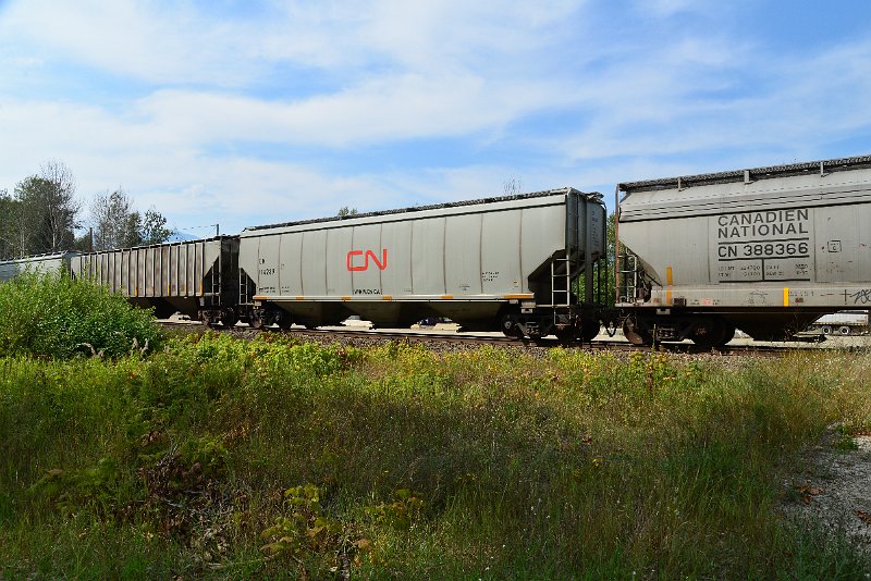 DSC_7767.JPG
