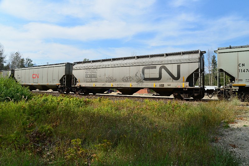 DSC_7768.JPG
