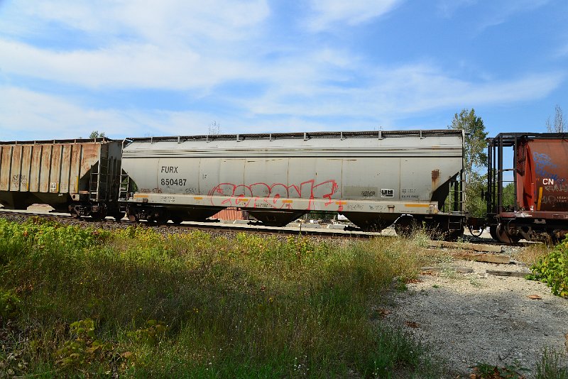 DSC_7771.JPG