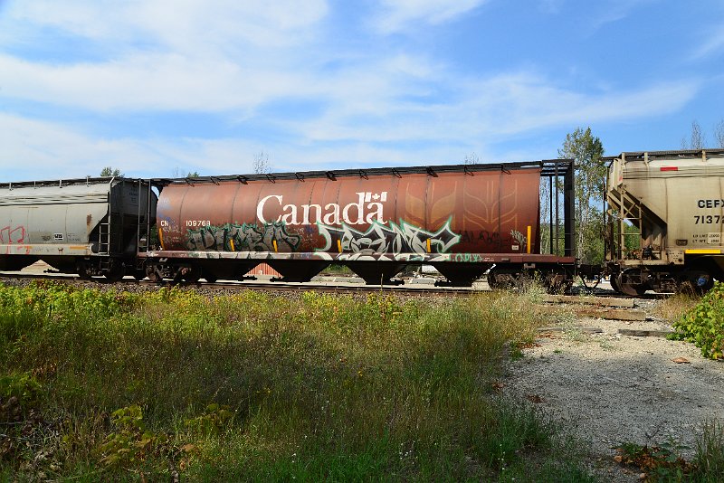 DSC_7772.JPG