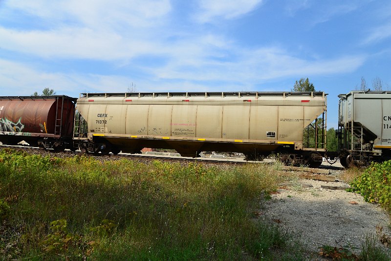 DSC_7773.JPG