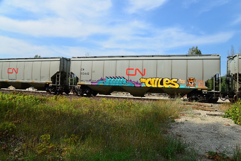 DSC_7777.JPG
