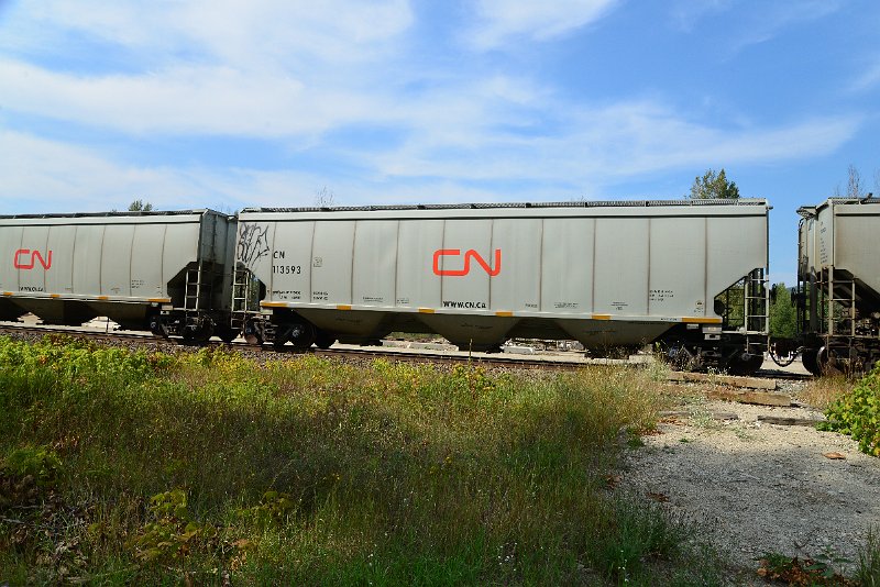 DSC_7779.JPG