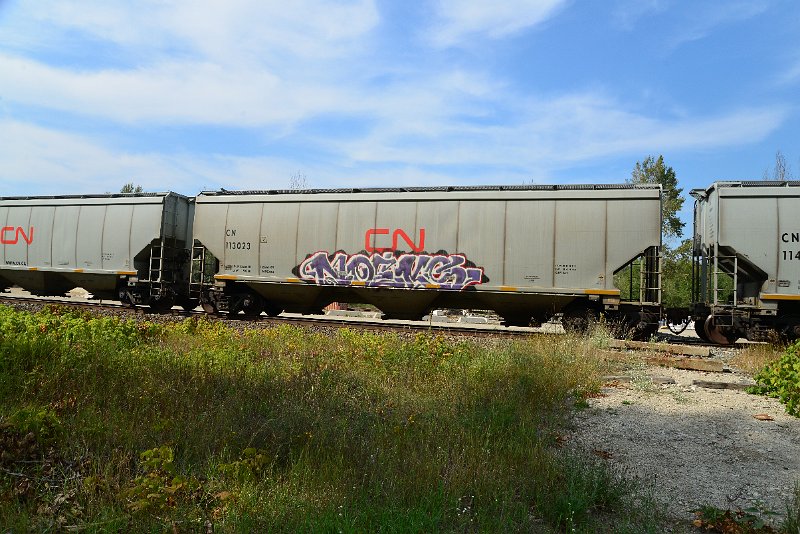 DSC_7780.JPG
