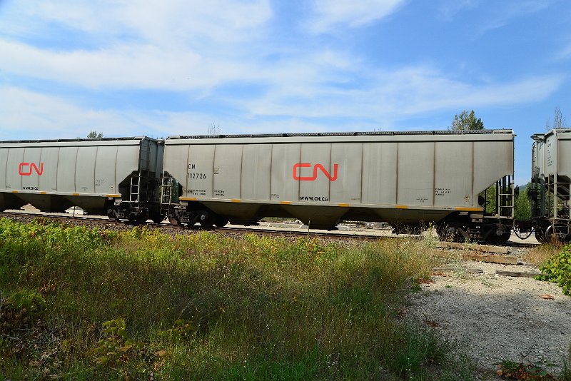 DSC_7782.JPG