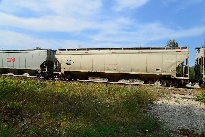 DSC_7785.JPG