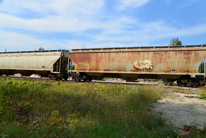 DSC_7786.JPG