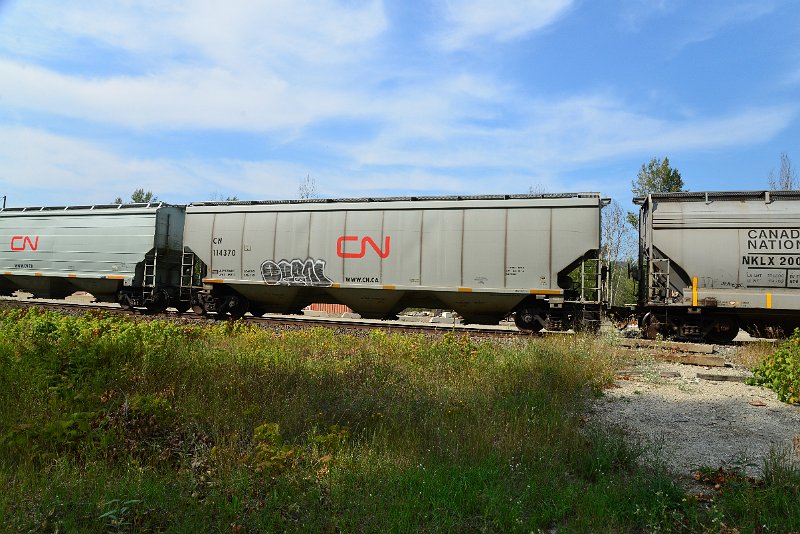 DSC_7789.JPG