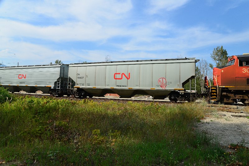 DSC_7793.JPG