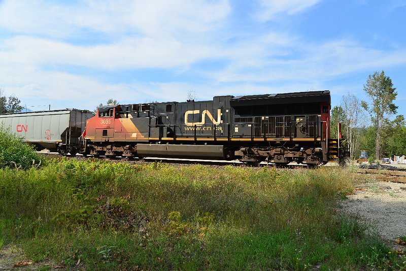 DSC_7794.JPG