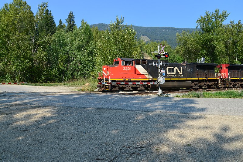 DSC_7844.JPG