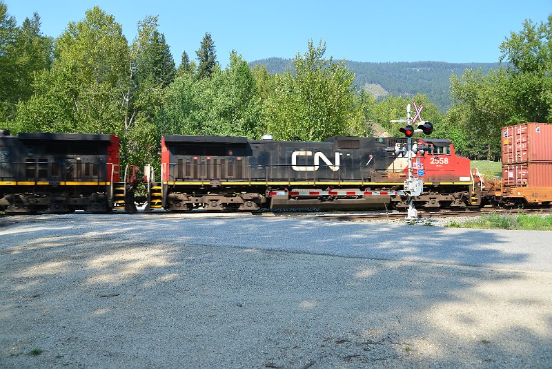 DSC_7845.JPG