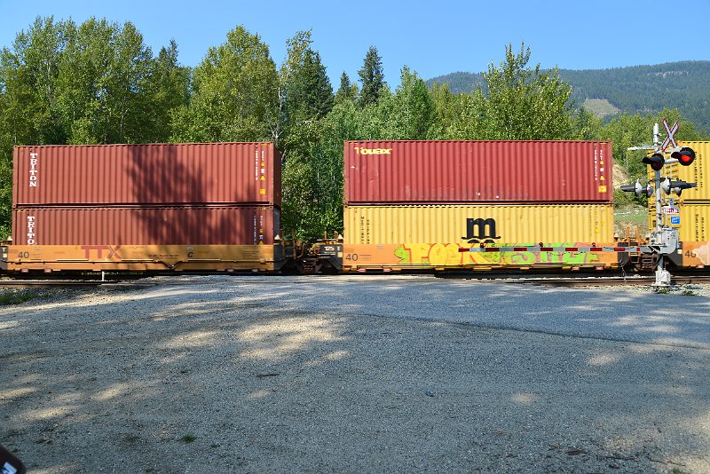 DSC_7848.JPG