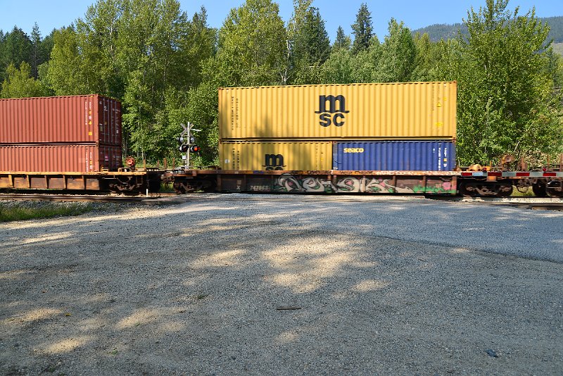 DSC_7880.JPG