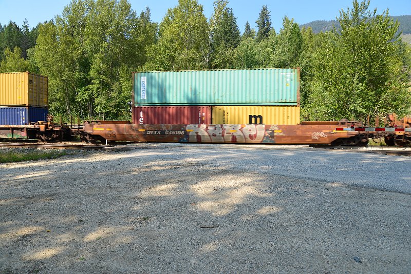 DSC_7881.JPG