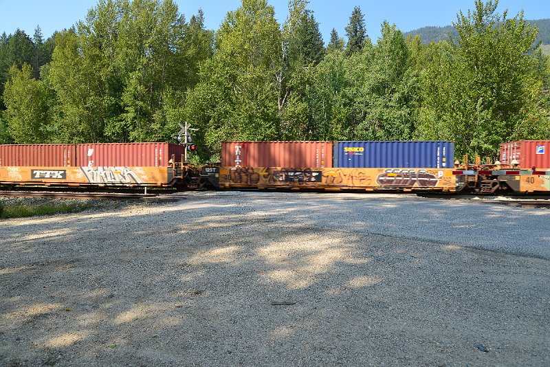 DSC_7884.JPG