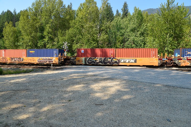 DSC_7885.JPG