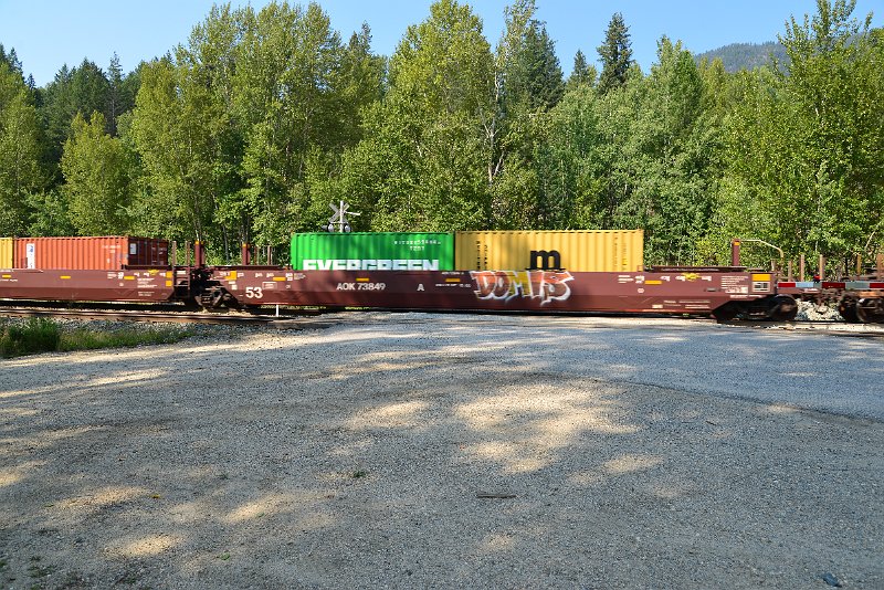 DSC_7893.JPG