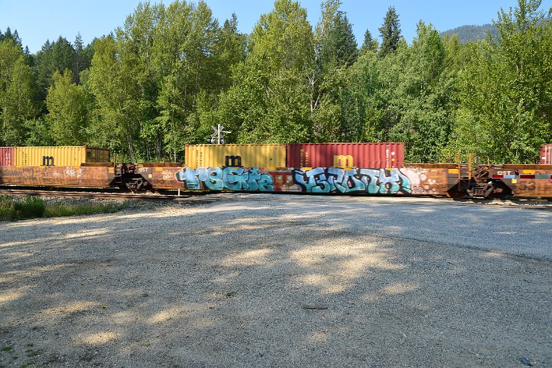 DSC_7895.JPG