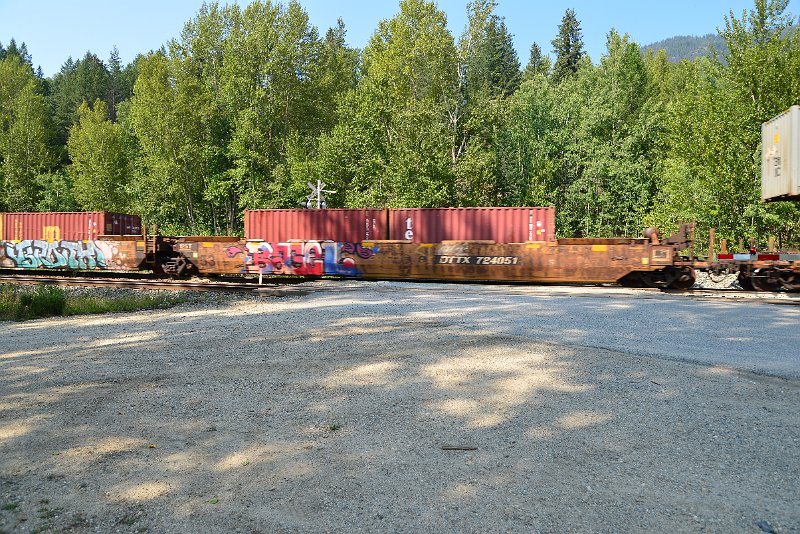 DSC_7896.JPG