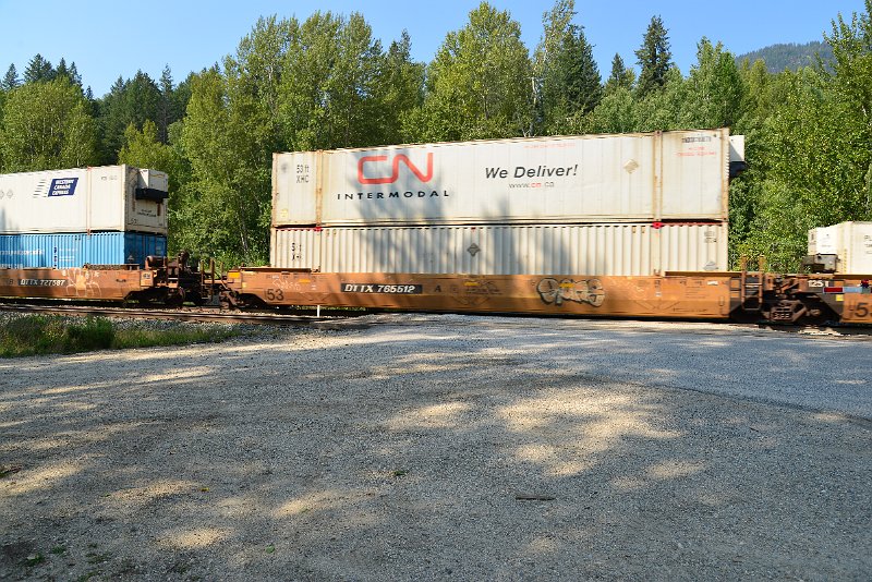 DSC_7902.JPG