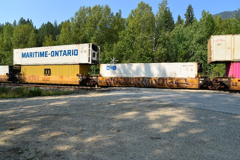 DSC_7908.JPG