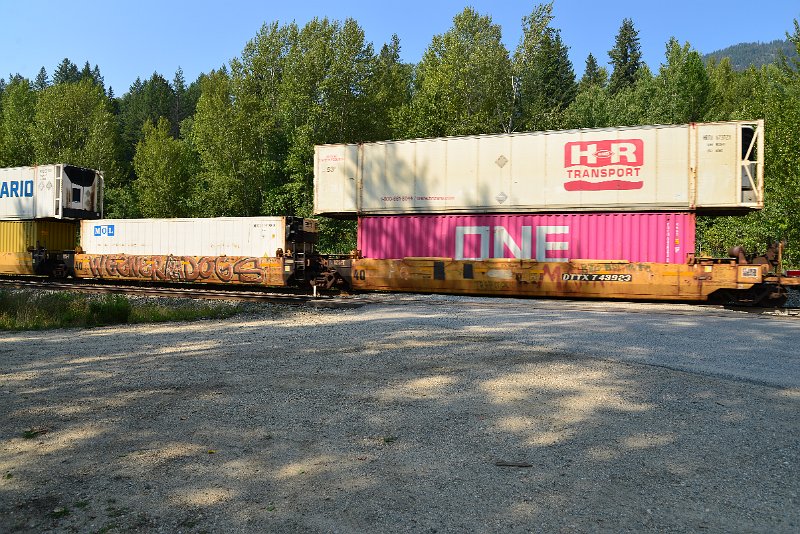 DSC_7909.JPG