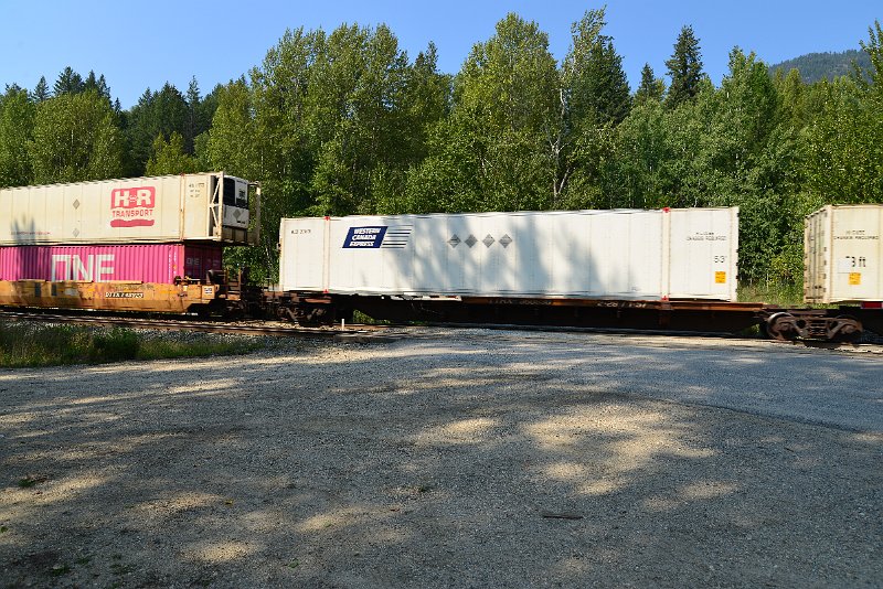 DSC_7910.JPG