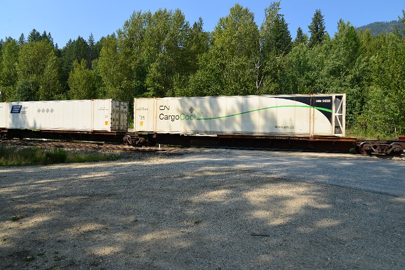 DSC_7911.JPG