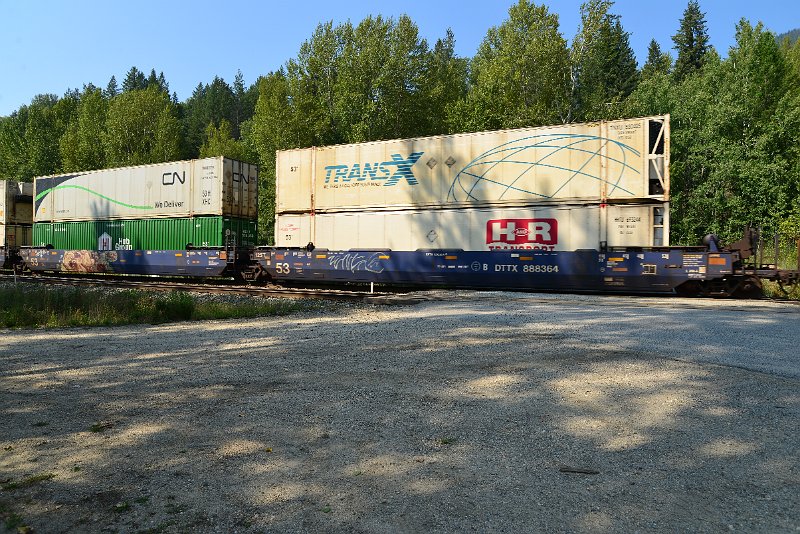DSC_7920.JPG