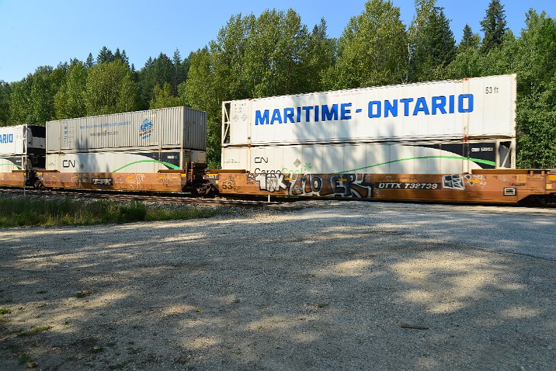 DSC_7924.JPG