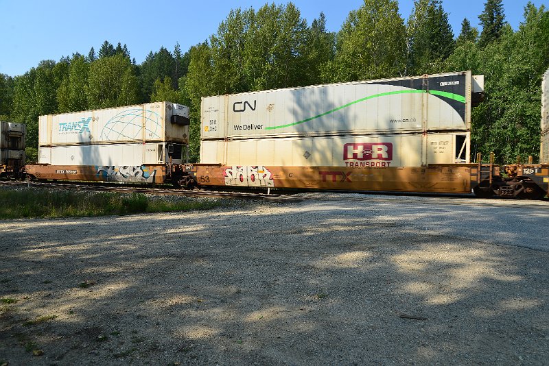 DSC_7928.JPG