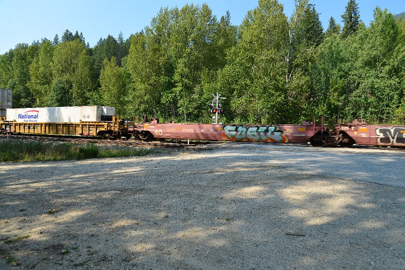 DSC_7934.JPG