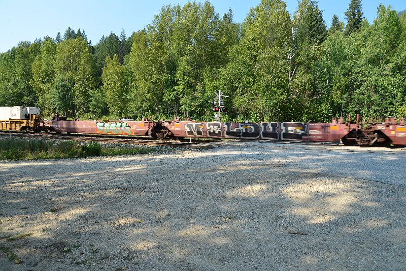 DSC_7935.JPG
