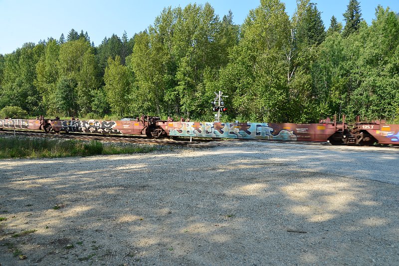 DSC_7937.JPG