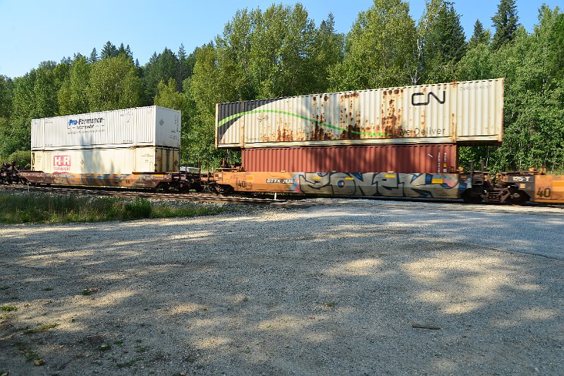 DSC_7940.JPG