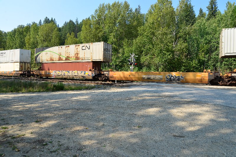 DSC_7941.JPG