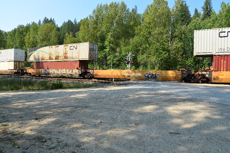 DSC_7942.JPG