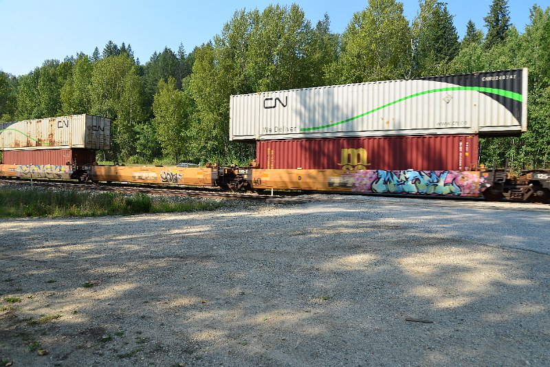 DSC_7943.JPG