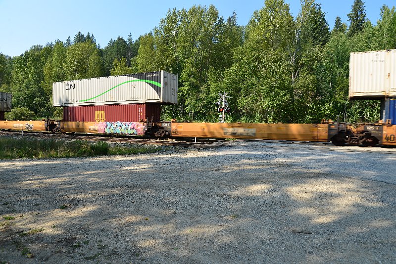 DSC_7944.JPG