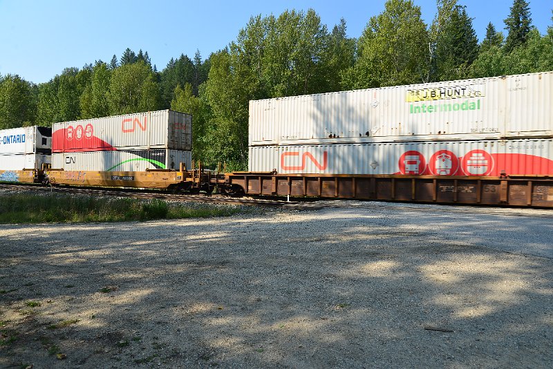 DSC_7949.JPG