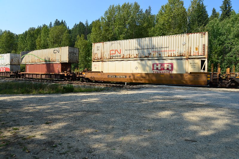 DSC_7951.JPG