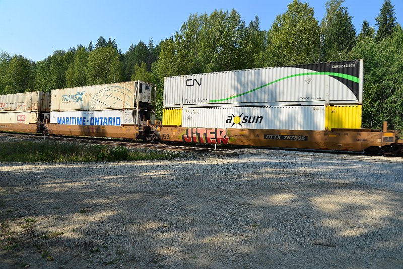 DSC_7953.JPG
