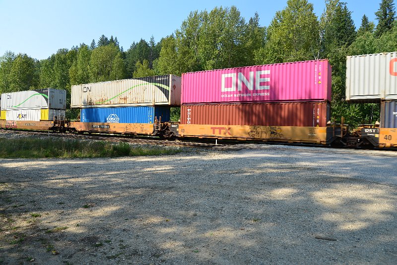 DSC_7955.JPG