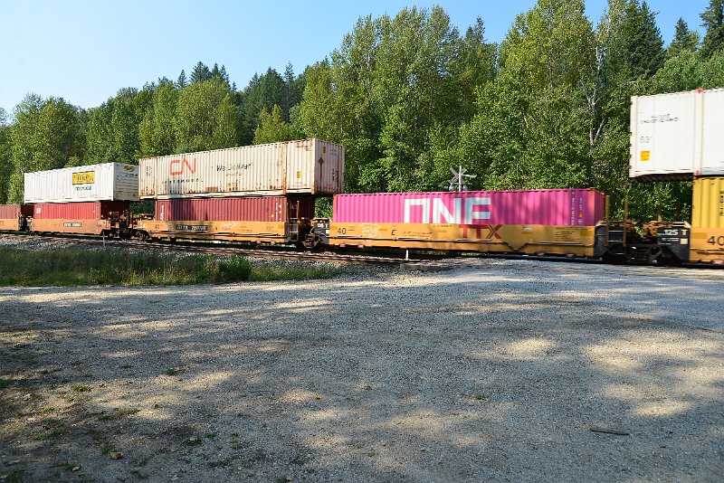 DSC_7960.JPG